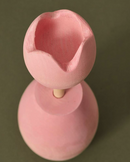 Raduga Grez Tulips