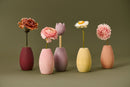 Raduga Grez Tulips