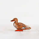 Brown Duck