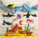 Coral Reef