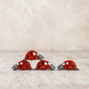 Ladybird
