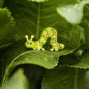 Caterpillar