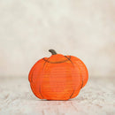 Jack-o'-Lantern Pumpkin