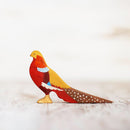 Golden Pheasant