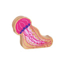 Lanka Kade Natural Pink Jellyfish