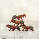 Ant