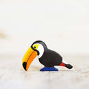 Toucan