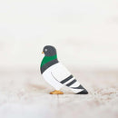 Pigeon
