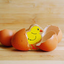 Lanka Kade Yellow Chick