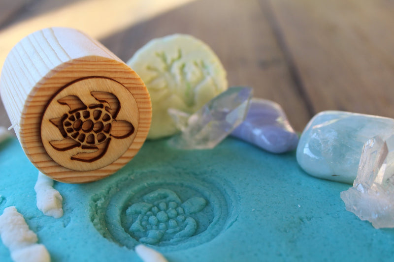 Turtle Lifecycle Playdough Stamps
