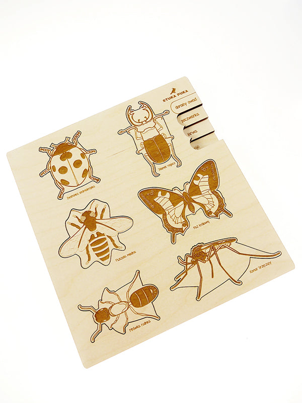 Insects Life Cycle Puzzle