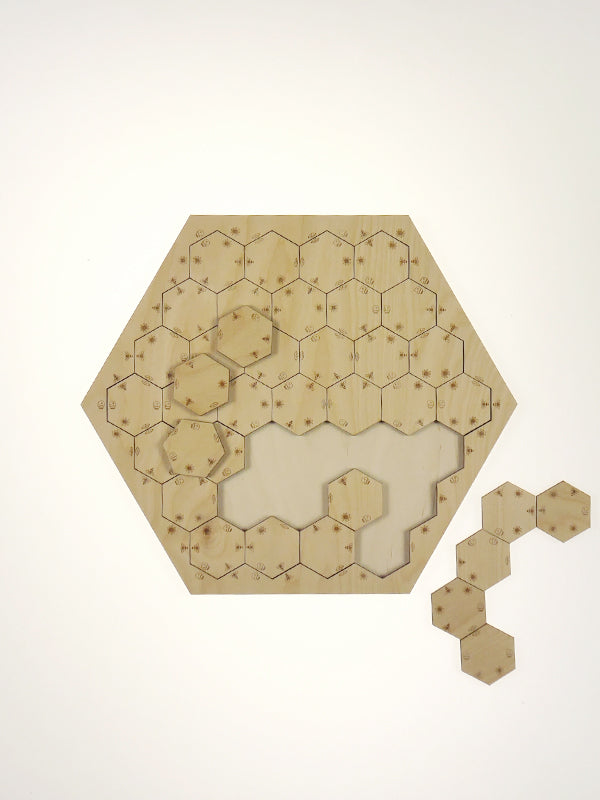 Match the Bees Puzzle