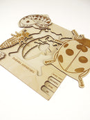 Insect's Life Puzzle - Ladybird