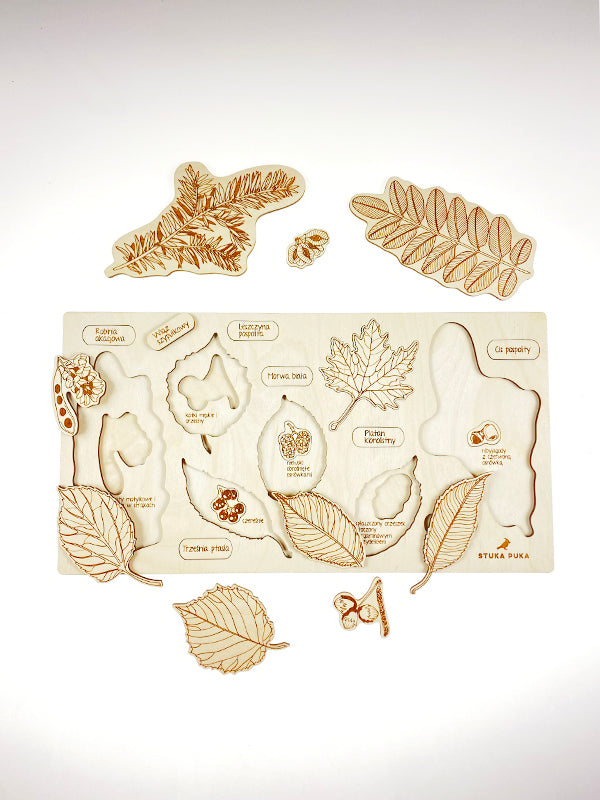 Leaves Puzzle 3