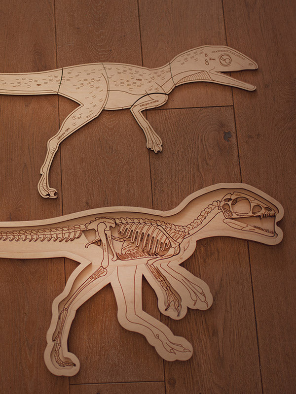 Dinosaur Anatomy Puzzle