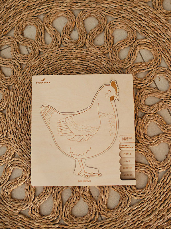 Chicken and Egg Puzzle