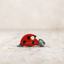 Ladybird