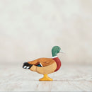 Mallard Duck