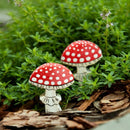 Fly Agaric Toadstool