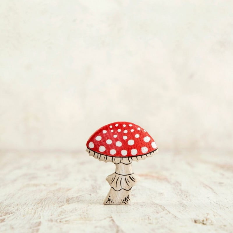 Fly Agaric Toadstool