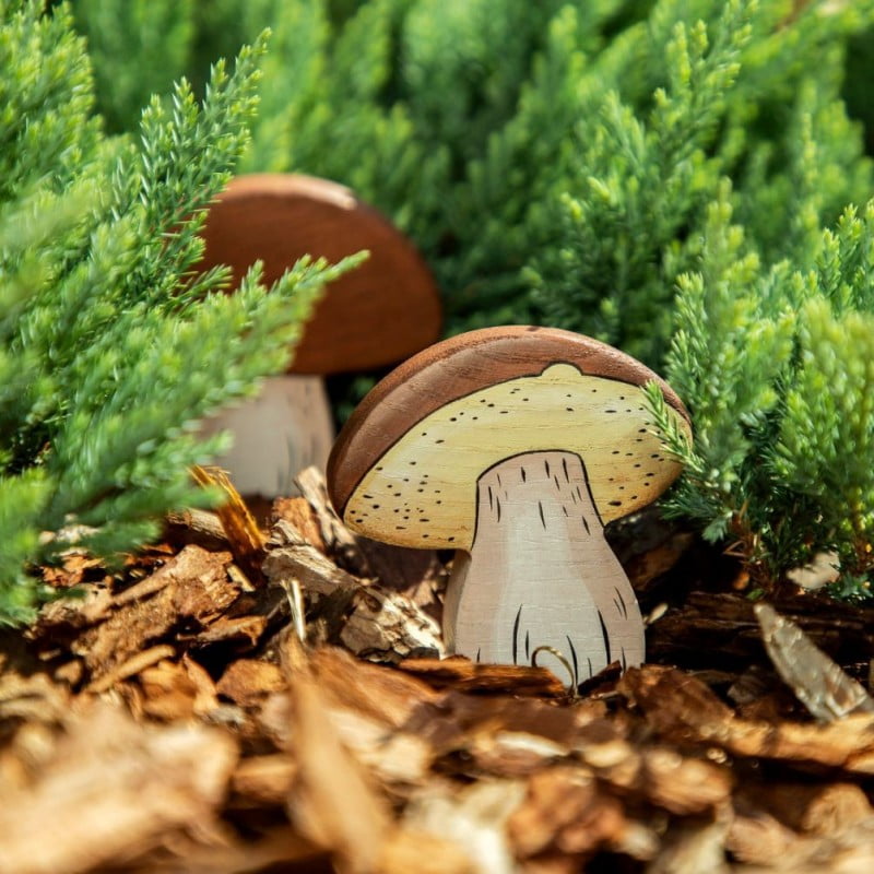 Brown Cap Mushroom